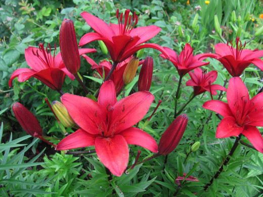 1566859 (a): :2560x1920